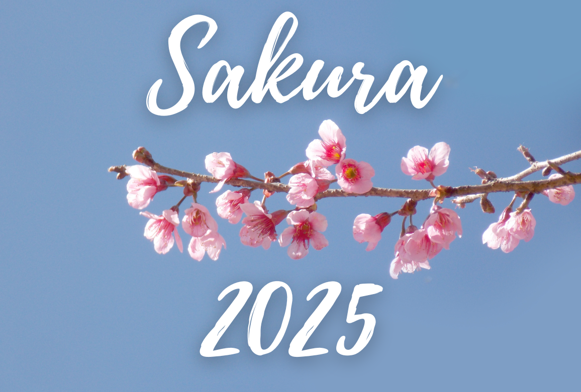 Sakura Season - Start! Cherry Blossom Forecast, Best places to to see Sakura & more