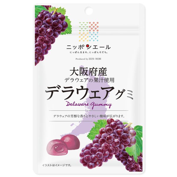 Delaware Grape Gummy from Osaka Prefecture 40g