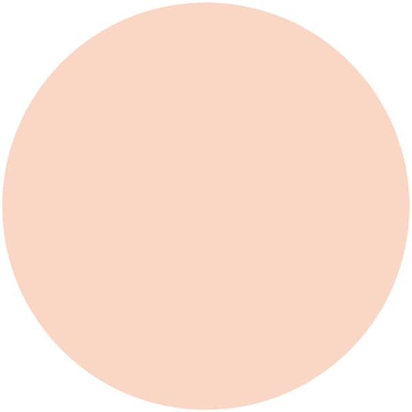 Kiss Matte Chiffon UV Whitening Base N 37g – Quasi-Drug Makeup Base with Placenta Extract | SPF26 PA++