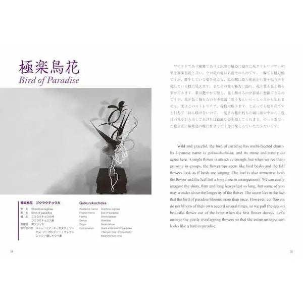 Ikebana: Listening to the Flowers – Japanese-English Bilingual Guide to the Art of Flower Arrangement by Toshiya Kumano