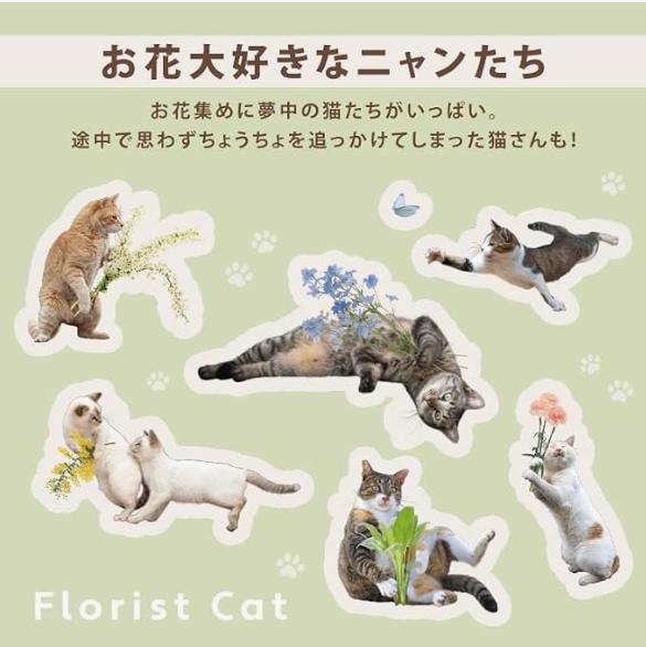 Masayuki Oki × Wpc. Paw Plastic Umbrella Nyan Mini – Folding Cat Umbrella, 3 Colors