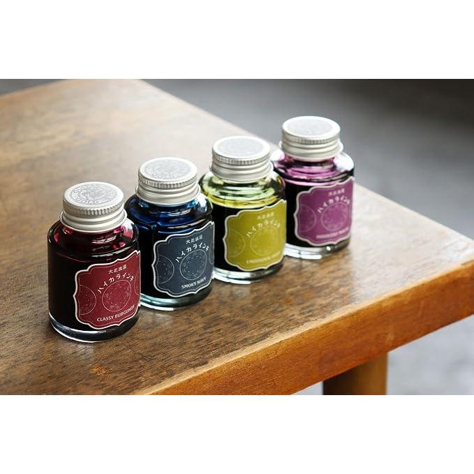 Teranishi Guitar Taisho Roman Haikara Fountain Pen Ink – 40 ml, 12 Colors