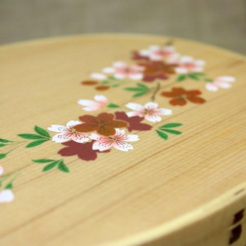 Shiraki Oval Magewappa Bento Box – Natural Wood with Sakura Makie Lacquer Design, Made from Japanese Cedar