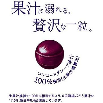 Konkord-type sweets with the flavor of dark grapes TSUMIBUKAI BUDOU CANDY