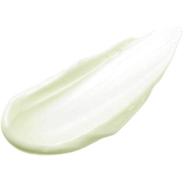 KANEBO 佳麗寶 Global Skin Protector A 高保濕多效防曬霜 60g SPF50+ PA++++ [含酒精]