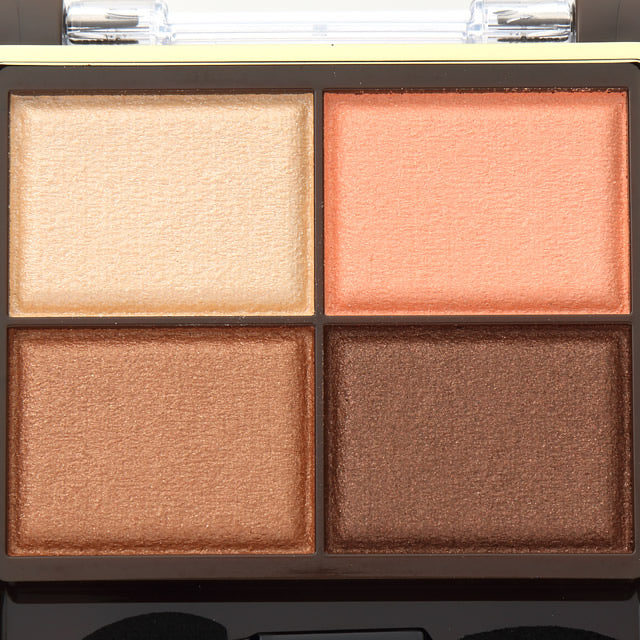 JAPAN BESTSELLER! Skinny Rich Shadow SR05 Warm Brown