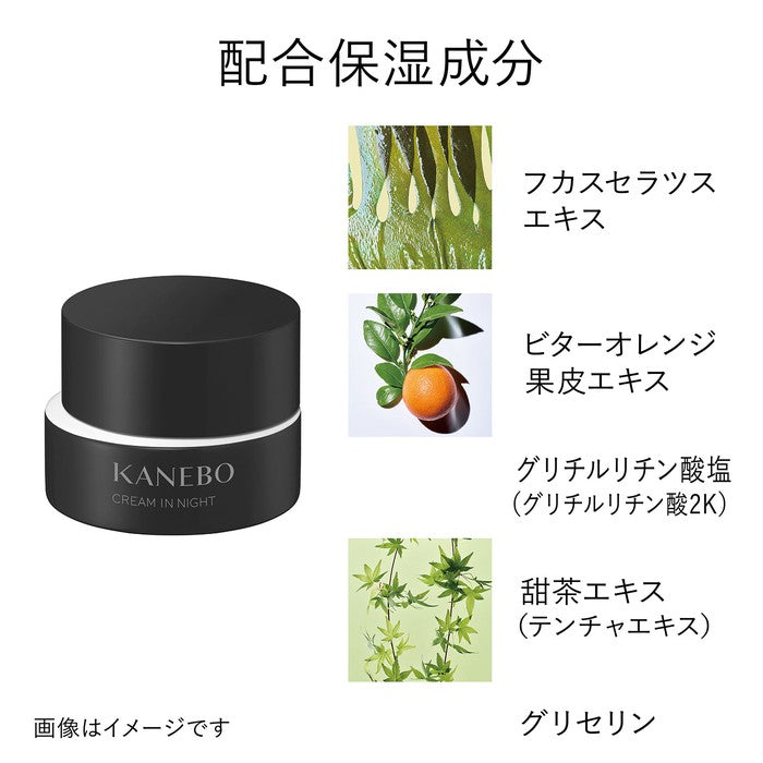 Kanebo Cream in Night - Hydrating Night Cream for Dry Skin with Fucus Serratus Extract and Sweet Tea Extract 40g [Alcohol-free]