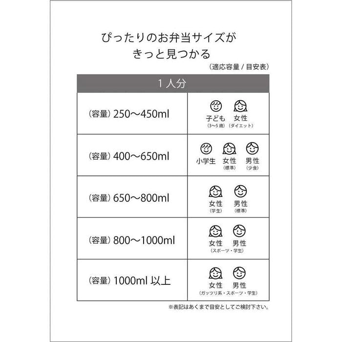 Skater Bento Box 650ml – My Neighbor Totoro (4-Point Lock, Antibacterial, Made in Japan)