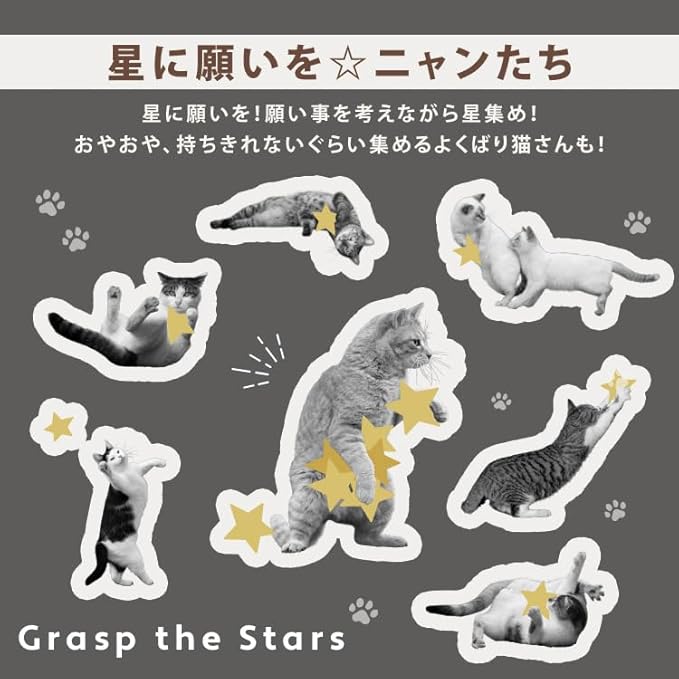 [2025] Masayuki Oki × Wpc. Cat Parasol – 100% UV Protection & Rain-Ready