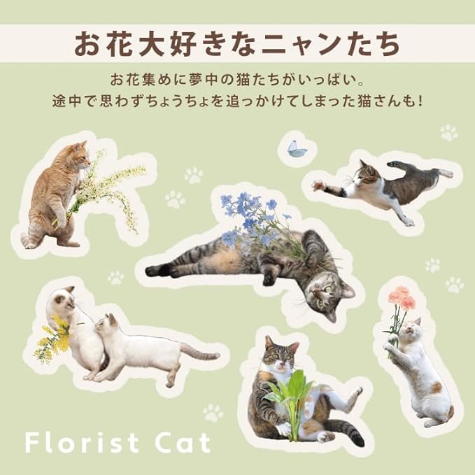 [2025] Masayuki Oki × Wpc. Cat Parasol – 100% UV Protection & Rain-Ready