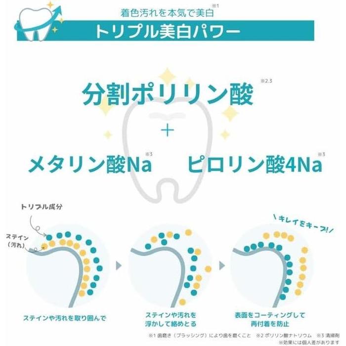 Polylin Professional Whitening Cubes | Sponge Whitening Brush with Split Polyphosphoric Acid | Made in Japan