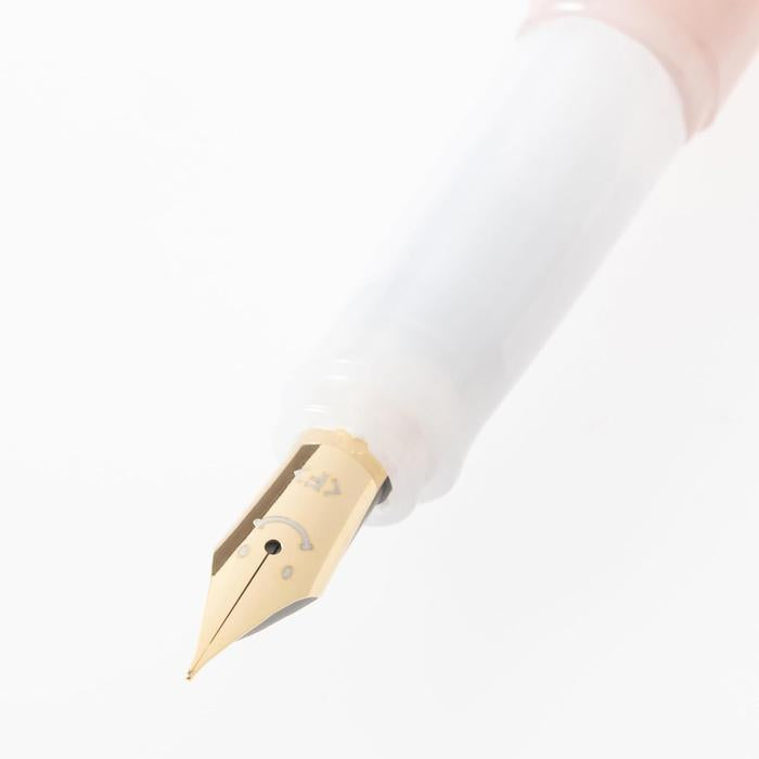 Pilot Kakuno Fountain Pen – Extra Fine, Fine & Medium Nibs