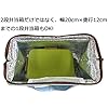 My Neighbor Totoro Insulated Lunch Bag – Studio Ghibli