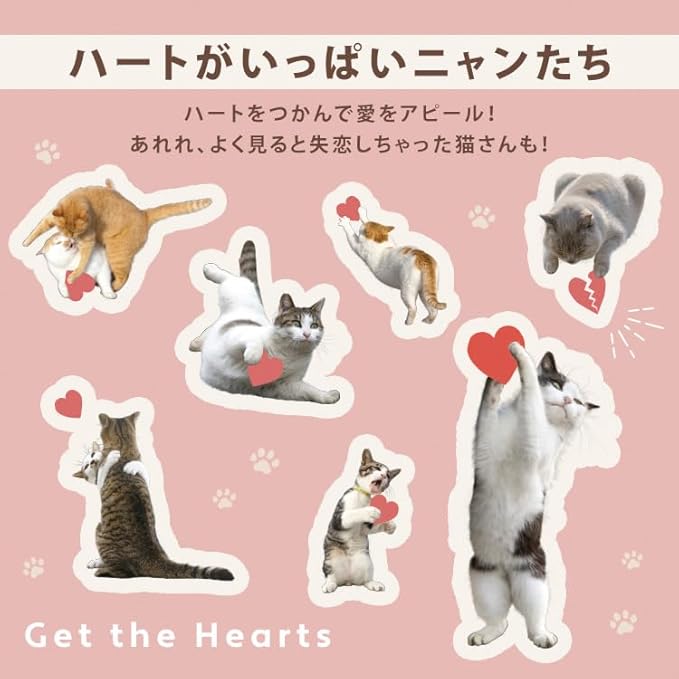 [2025] Masayuki Oki × Wpc. Cat Parasol – 100% UV Protection & Rain-Ready