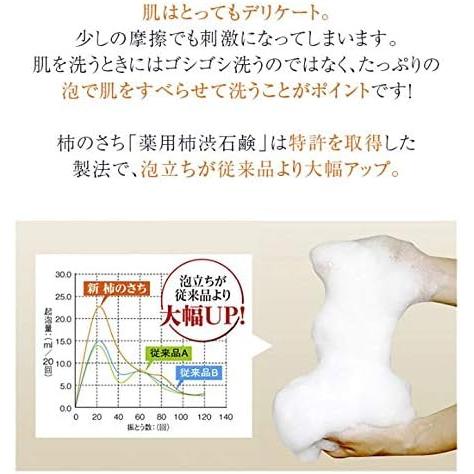 Kaki no Sachi (KnS) Medicated Persimmon Deodorant Soap 110g – Body Odor & Aging Odor Care [With alcohol]
