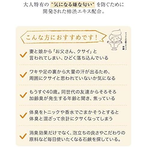 Kaki no Sachi (KnS) Medicated Persimmon Deodorant Soap 110g – Body Odor & Aging Odor Care [With alcohol]