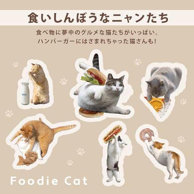 [2025] Masayuki Oki × Wpc. Cat Parasol – 100% UV Protection & Rain-Ready