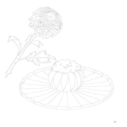 The Coloring Book of WAGASHI – Japanese Traditional Sweets (U-CAN’s At-Home Series)