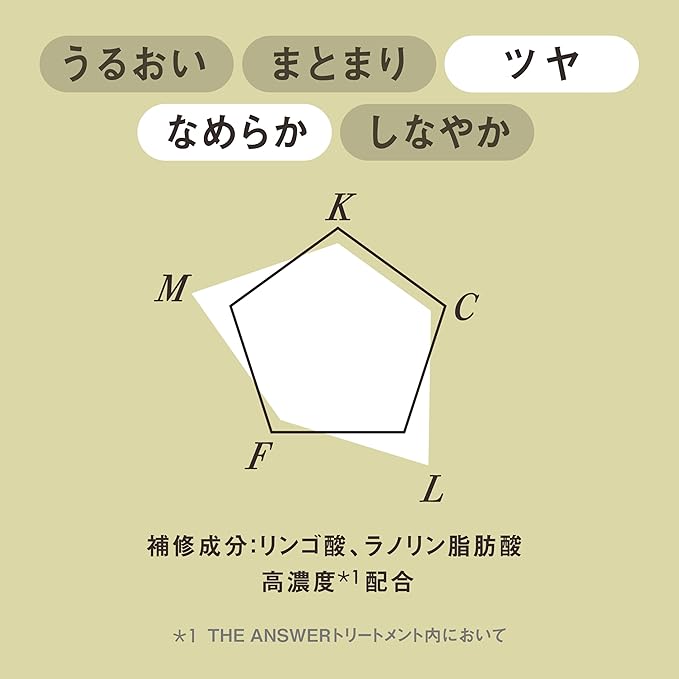 Kao THE ANSWER EX Gloss Treatment – For Heat Damage (220g) [With Alcohol]