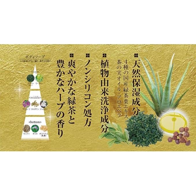 Japanese Green Tea Body Soap – Refreshing Tea Scent (500 ml) (No Alcohol)