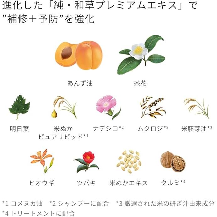 ICHIKAMI [Dense W Moisturizing Care] Conditioner Pump – Deep Hydration for Soft, Healthy Hair 16.9 oz (480 g) [With Alcohol]