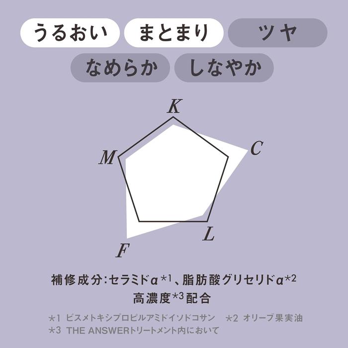 Kao THE ANSWER EX Moist Treatment – For Daily Damage (220g) [With Alcohol]