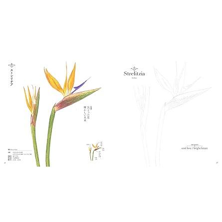 The Coloring Book of Botanical Flowers – with Their Symbolisms (U-CAN’s At-Home Series)