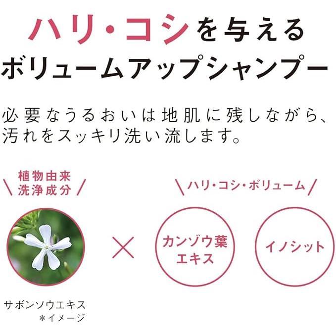 ORBIS Quasi-drug Scalp Refining Shampoo Refill – Eco-friendly 250mL [Alcohol-Free]