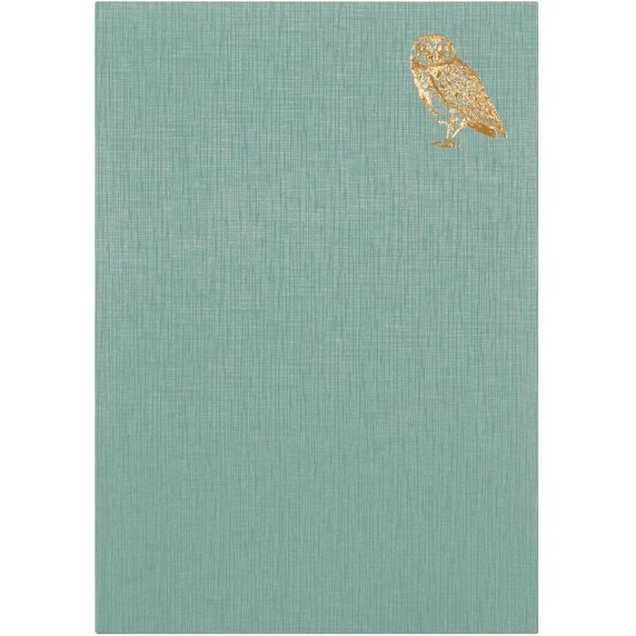Midori Notebook Diary with Owl Motif – Relaxed Nighttime Journal