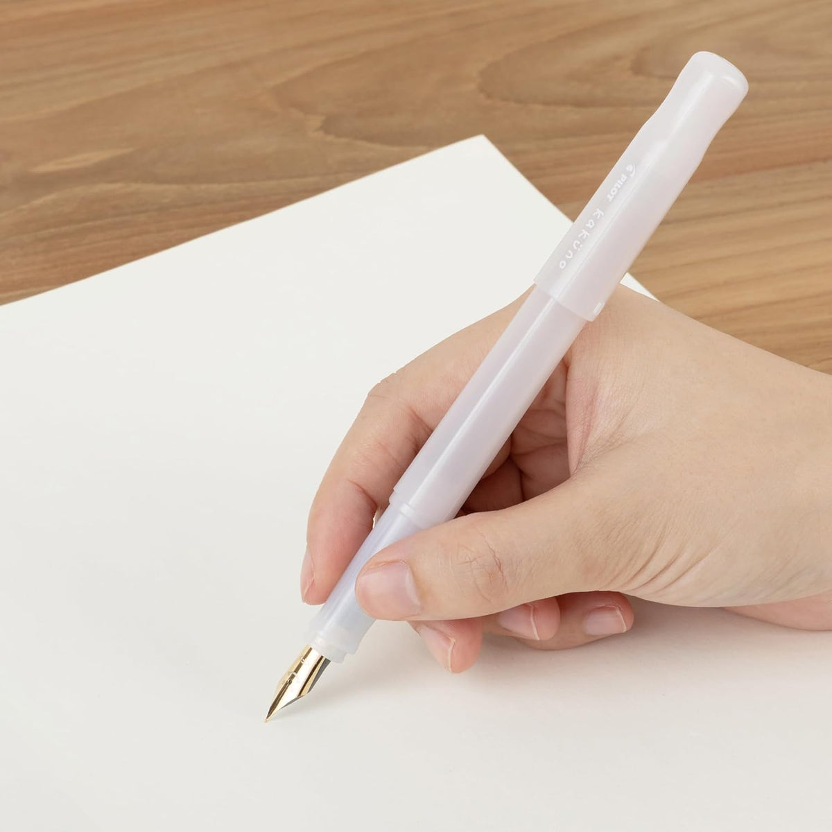 Pilot Kakuno Fountain Pen – Extra Fine, Fine & Medium Nibs