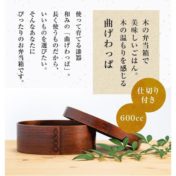 Osaka Choseido Magewappa Bento Box – Single Tier Oval Bento with Divide Brown Band Included