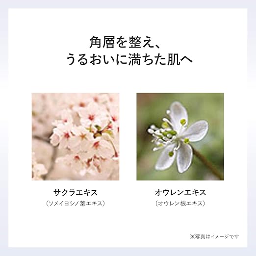 POLA Moistissimo Lotion – Deep Hydration Lotion 125mL [Alcohol-Free]