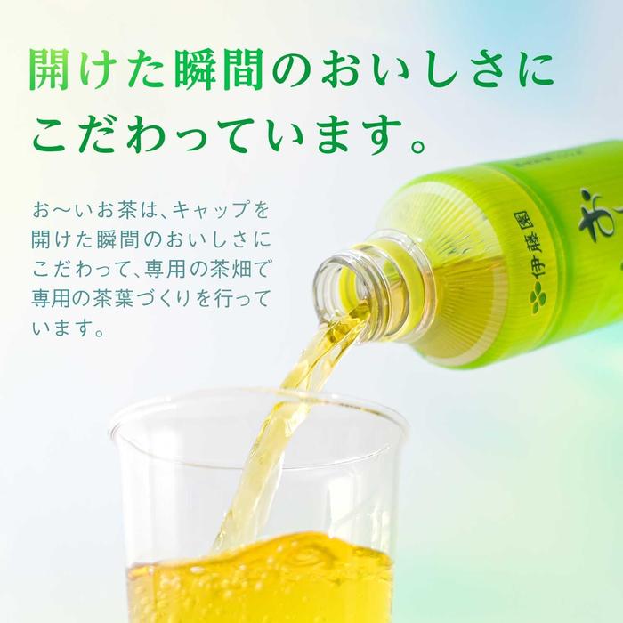 Ito En Oi Ocha Japanese Green Tea 600ml – Unsweetened Authentic Bottled Sencha Tea
