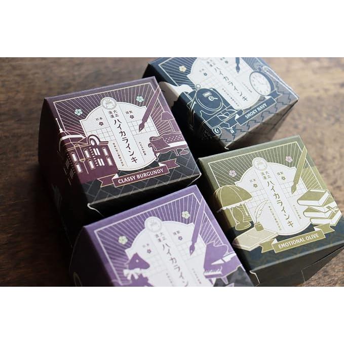 Teranishi Guitar Taisho Roman Haikara Fountain Pen Ink – 40 ml, 12 Colors