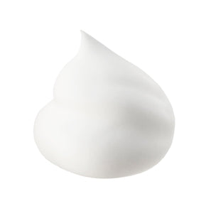 [Refill] NAMERAKA HONPO - Cleansing foam with soy milk for sensitive and acne-prone skin 180ml [With alcohol]