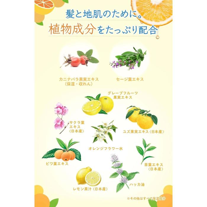 Plant Born Orange Skin Cleansing - Enzymatic peeling for the scalp 130g [Alcohol-free]