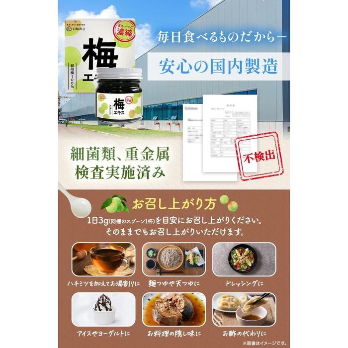 Saiwa Shoten Ume Extract Kishu Plum Concentrate 70 g