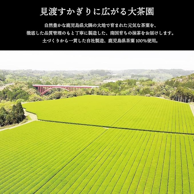 Wakoen Matcha Powder 30g – Kagoshima-Grown Japanese Green Tea for Latte, Sweets, and Tea Ceremony