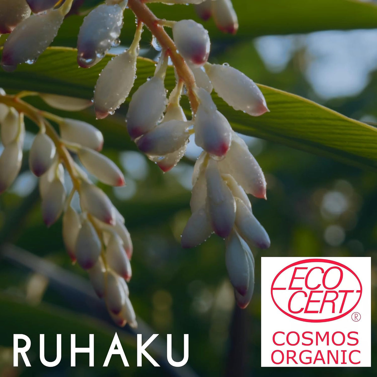 CRÈME HYDRATANTE RUHAKU Gettou S – Crème pour le visage biologique légère, 30g