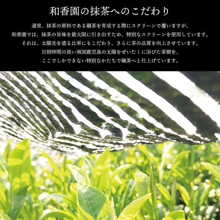 Wakouen Matcha "Hou no Kaori" – 100g, Premium Kagoshima Matcha Powder