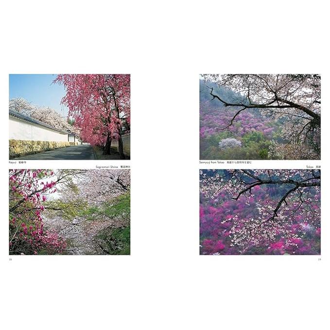 SAKURA The Japanese Soul Flower – All-Color English Photography Book of Japanese Cherry Blossoms