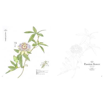 The Coloring Book of Botanical Flowers – with Their Symbolisms (U-CAN’s At-Home Series)