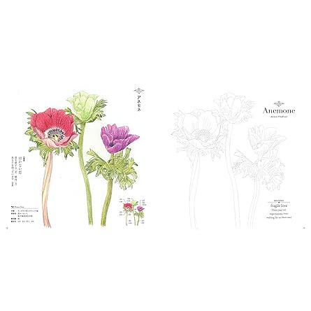 The Coloring Book of Botanical Flowers – with Their Symbolisms (U-CAN’s At-Home Series)