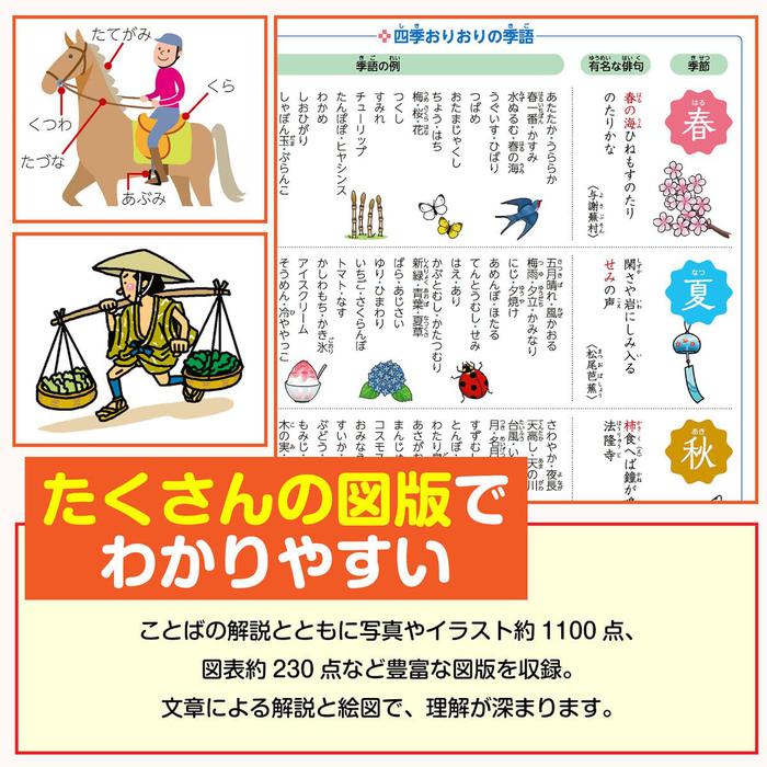 Reikai Gakushū Kokugo Dictionary – 12th Edition - Full Color