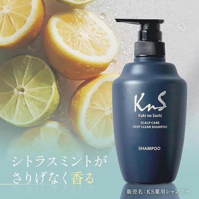 Kaki no Sachi (KnS) Medicated Persimmon Scalp Shampoo for Men 500mL – Odor, Dandruff & Itch Care [With alcohol]