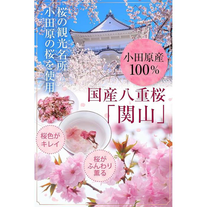 Salted Cherry Blossoms 60g – Premium Double-Flowered Sakura from Odawara, Japan