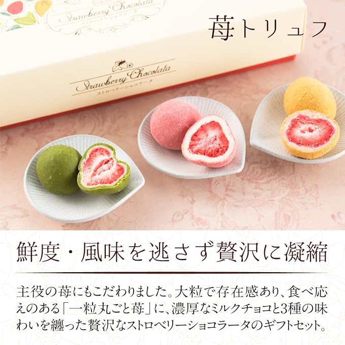 Luxurious Strawberry in Chocolate – Set of 3 Flavors | Perfect Gift for Any Occasion