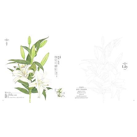 The Coloring Book of Botanical Flowers – with Their Symbolisms (U-CAN’s At-Home Series)