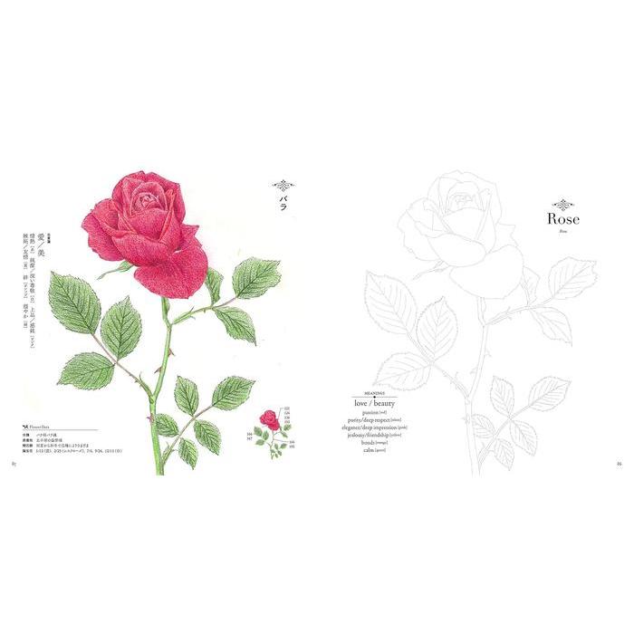 The Coloring Book of Botanical Flowers – with Their Symbolisms (U-CAN’s At-Home Series)