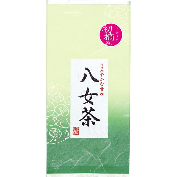 Premium Japanese Yamecha – Deep-Steamed Sencha from Fukuoka, First Flush Harvest 100g